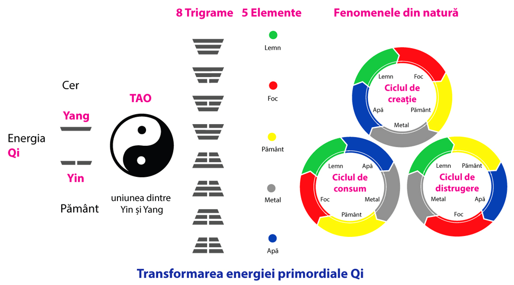 energia qi yin yang